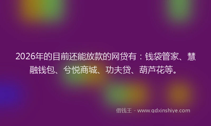2026年的目前还能放款的网贷有：钱袋管家、慧融钱包、兮悦商城、功夫贷、葫芦花等。