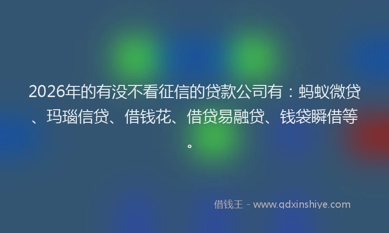 2026年的有没不看征信的贷款公司有：蚂蚁微贷、玛瑙信贷、借钱花、借贷易融贷、钱袋瞬借等。
