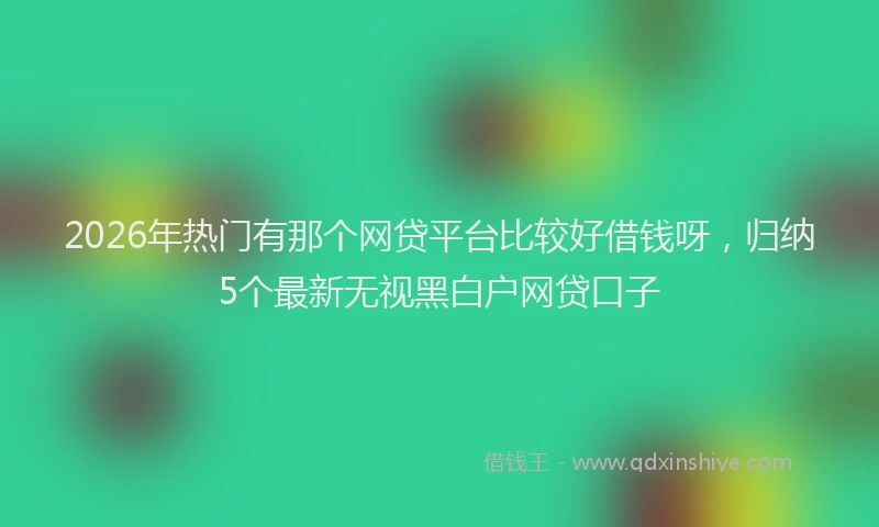 2026年热门有那个网贷平台比较好借钱呀，归纳5个最新无视黑白户网贷口子