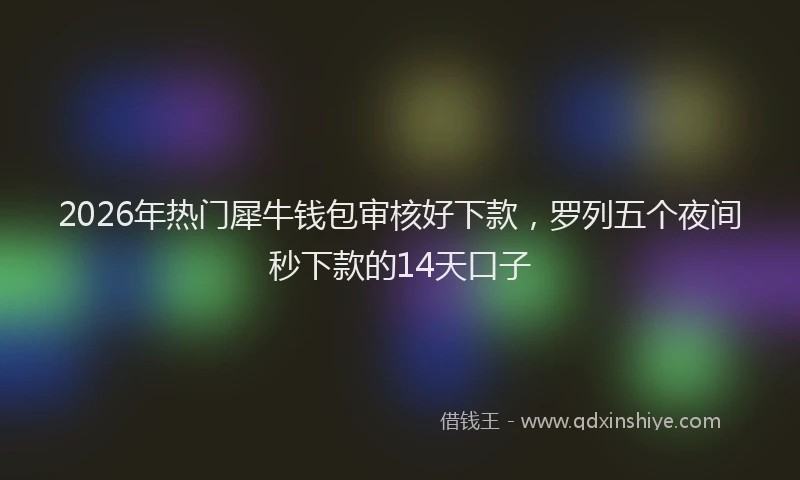 2026年热门犀牛钱包审核好下款，罗列五个夜间秒下款的14天口子