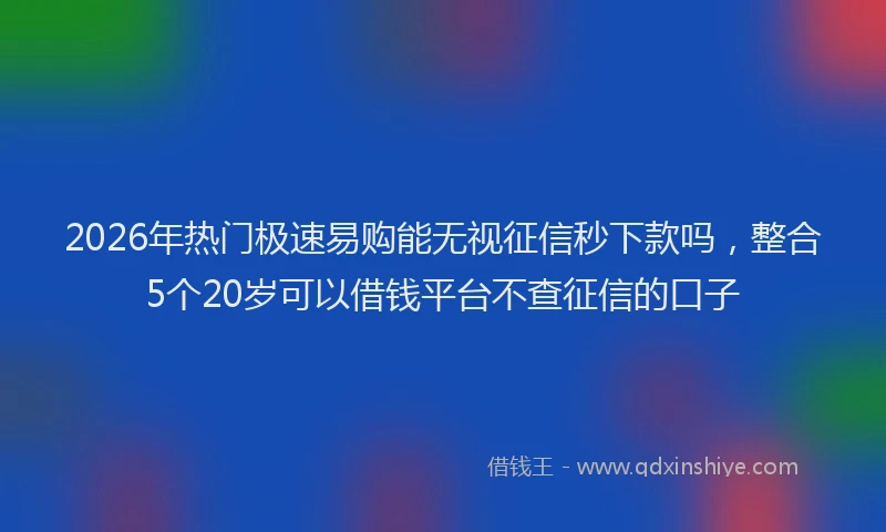 2026年热门极速易购能无视征信秒下款吗，整合5个20岁可以借钱平台不查征信的口子