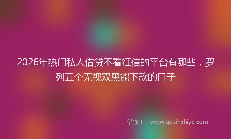 2026年热门私人借贷不看征信的平台有哪些，罗列五个无视双黑能下款的口子