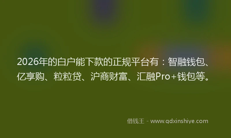 2026年的白户能下款的正规平台有：智融钱包、亿享购、粒粒贷、沪商财富、汇融Pro+钱包等。