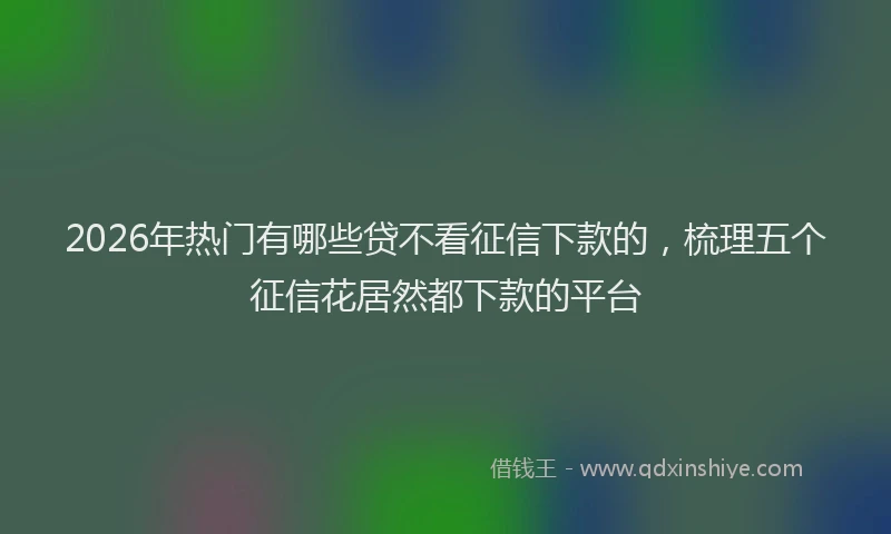 2026年热门有哪些贷不看征信下款的，梳理五个征信花居然都下款的平台