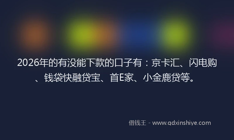 2026年的有没能下款的口子有：京卡汇、闪电购、钱袋快融贷宝、首E家、小金鹿贷等。