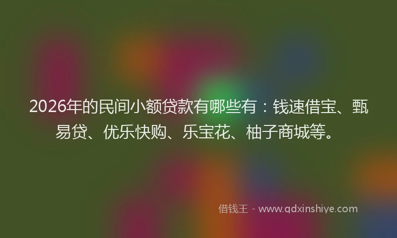 2026年的民间小额贷款有哪些有：钱速借宝、甄易贷、优乐快购、乐宝花、柚子商城等。