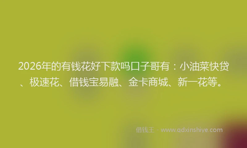 2026年的有钱花好下款吗口子哥有：小油菜快贷、极速花、借钱宝易融、金卡商城、新一花等。