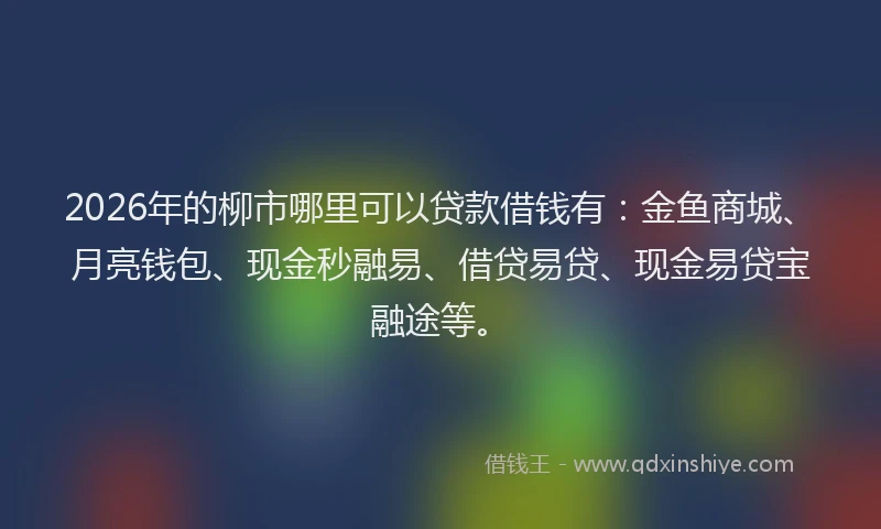 2026年的柳市哪里可以贷款借钱有：金鱼商城、月亮钱包、现金秒融易、借贷易贷、现金易贷宝融途等。
