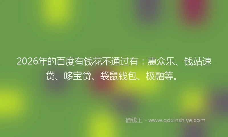 2026年的百度有钱花不通过有：惠众乐、钱站速贷、哆宝贷、袋鼠钱包、极融等。