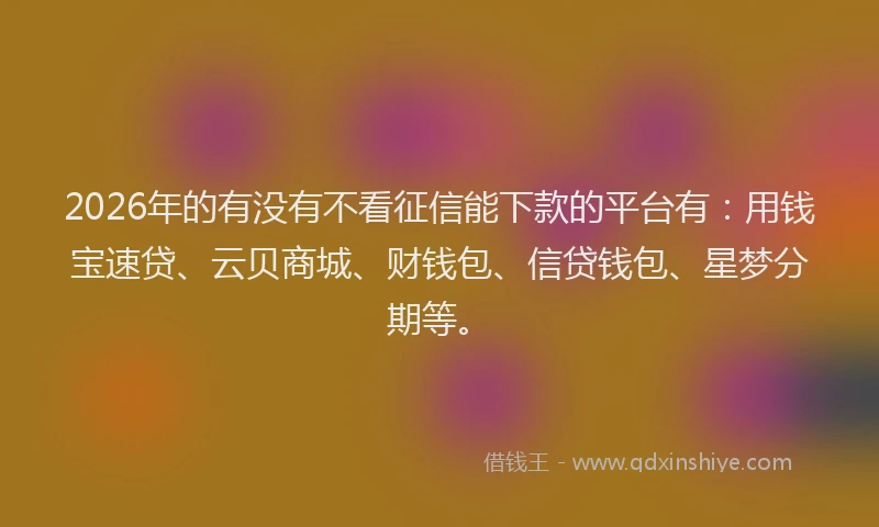 2026年的有没有不看征信能下款的平台有：用钱宝速贷、云贝商城、财钱包、信贷钱包、星梦分期等。