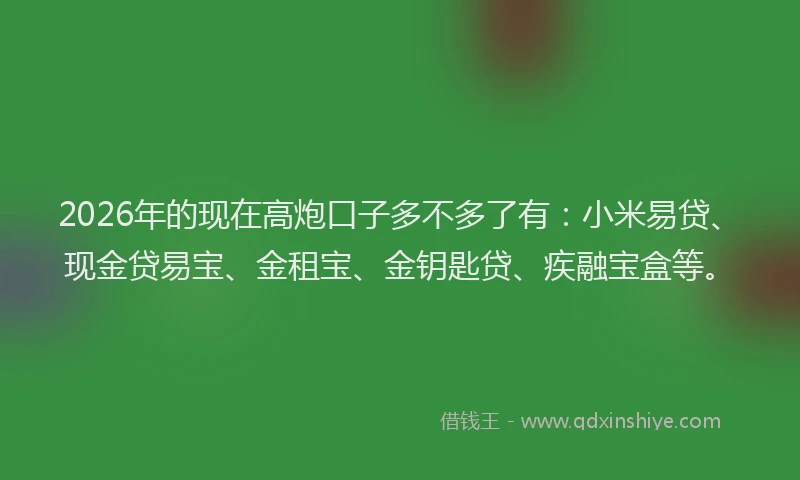 2026年的现在高炮口子多不多了有:小米易贷、现金贷易宝、金租宝、金钥匙贷、疾融宝盒等。