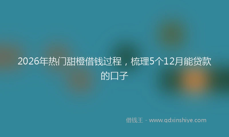 2026年热门甜橙借钱过程，梳理5个12月能贷款的口子