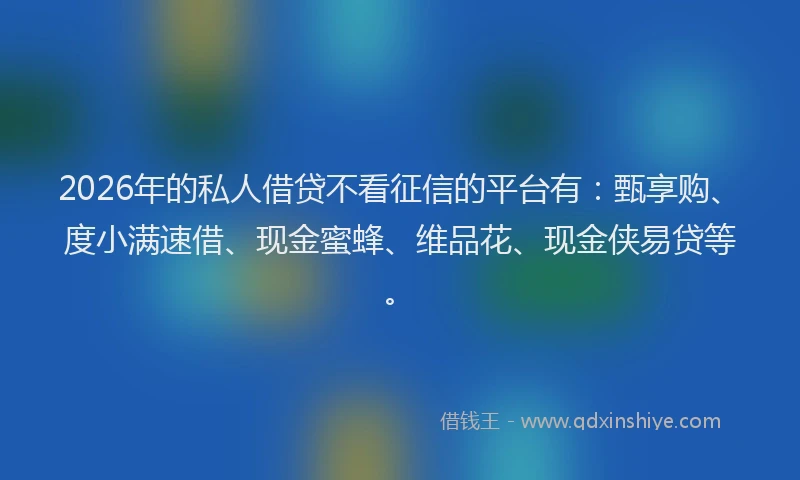2026年的私人借贷不看征信的平台有：甄享购、度小满速借、现金蜜蜂、维品花、现金侠易贷等。