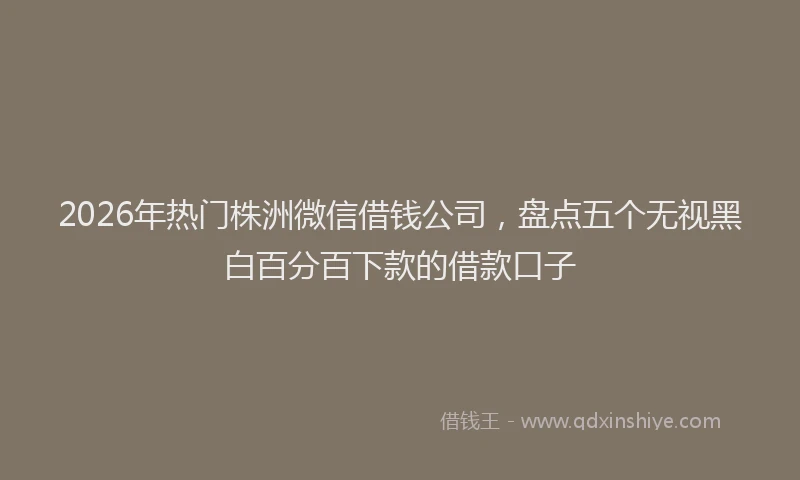 2026年热门株洲微信借钱公司，盘点五个无视黑白百分百下款的借款口子