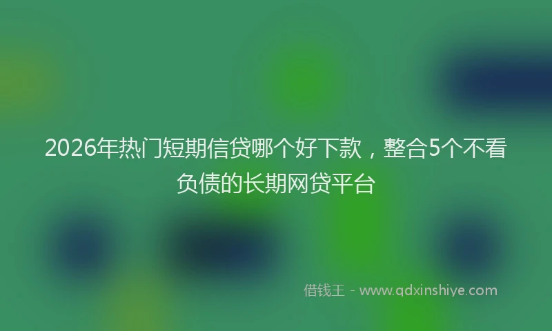 2026年热门短期信贷哪个好下款，整合5个不看负债的长期网贷平台