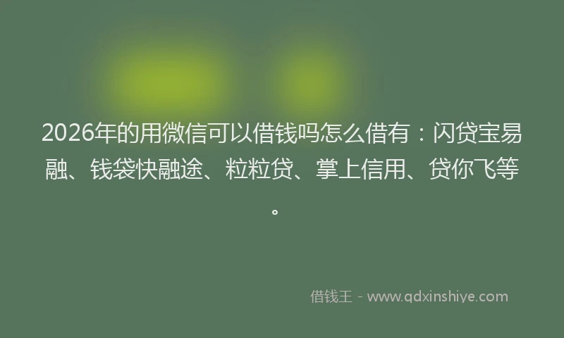 2026年的用微信可以借钱吗怎么借有：闪贷宝易融、钱袋快融途、粒粒贷、掌上信用、贷你飞等。