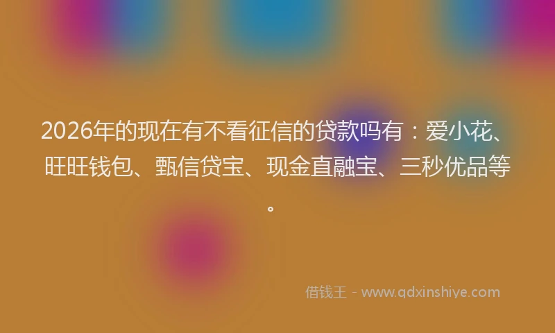 2026年的现在有不看征信的贷款吗有：爱小花、旺旺钱包、甄信贷宝、现金直融宝、三秒优品等。