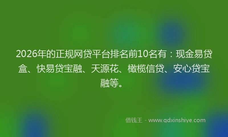 2026年的正规网贷平台排名前10名有:现金易贷盒、快易贷宝融、天源花、橄榄信贷、安心贷宝融等。