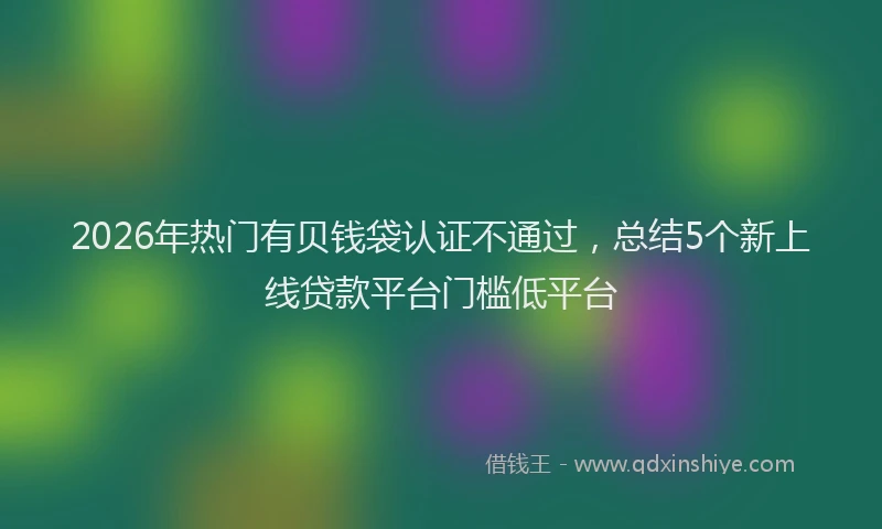 2026年热门有贝钱袋认证不通过，总结5个新上线贷款平台门槛低平台