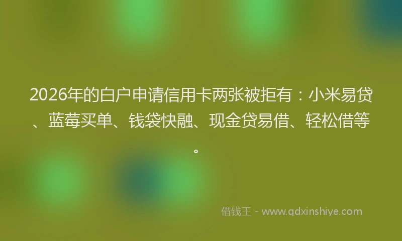 2026年的白户申请信用卡两张被拒有：小米易贷、蓝莓买单、钱袋快融、现金贷易借、轻松借等。