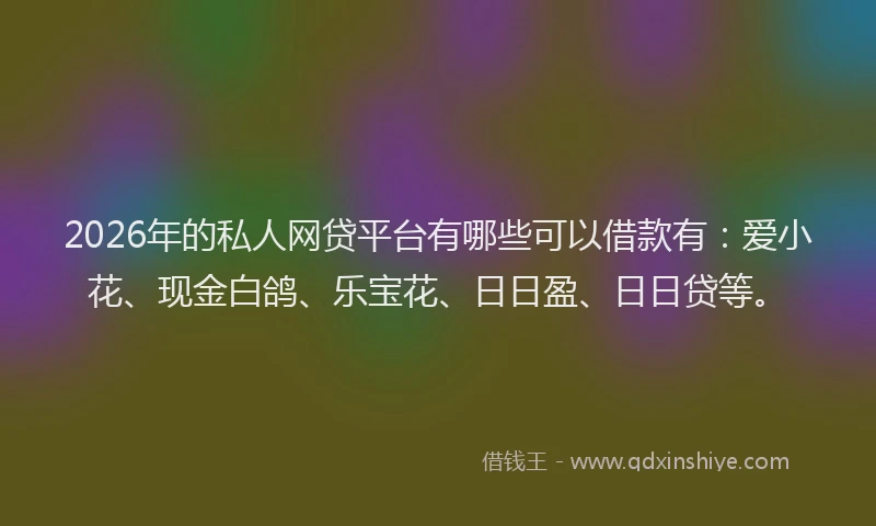 2026年的私人网贷平台有哪些可以借款有：爱小花、现金白鸽、乐宝花、日日盈、日日贷等。