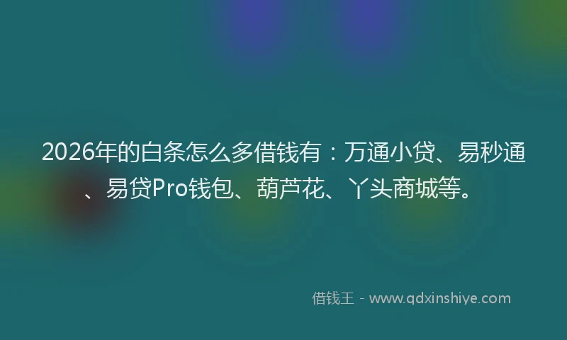 2026年的白条怎么多借钱有:万通小贷、易秒通、易贷Pro钱包、葫芦花、丫头商城等。