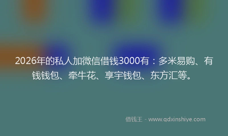 2026年的私人加微信借钱3000有：多米易购、有钱钱包、牵牛花、享宇钱包、东方汇等。