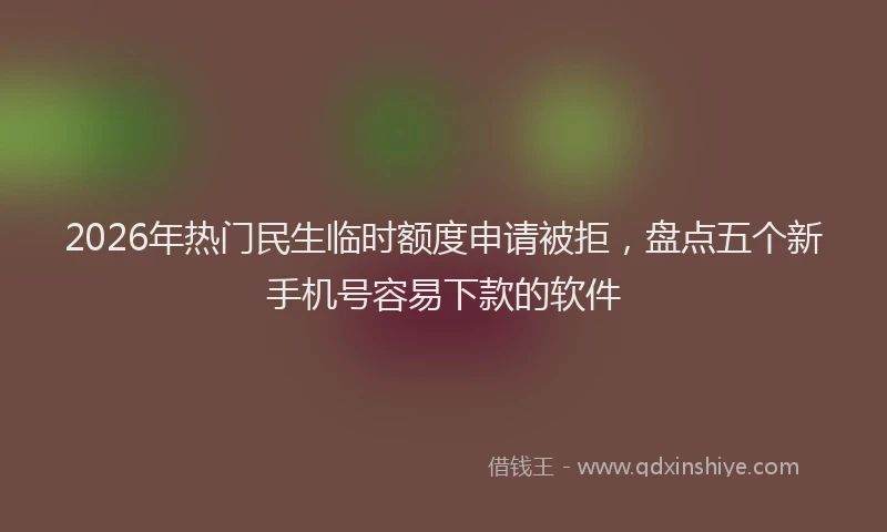 2026年热门民生临时额度申请被拒，盘点五个新手机号容易下款的软件