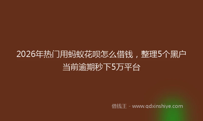 2026年热门用蚂蚁花呗怎么借钱，整理5个黑户当前逾期秒下5万平台