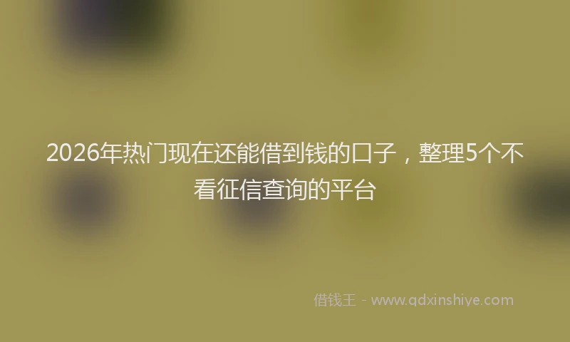 2026年热门现在还能借到钱的口子,整理5个不看征信查询的平台