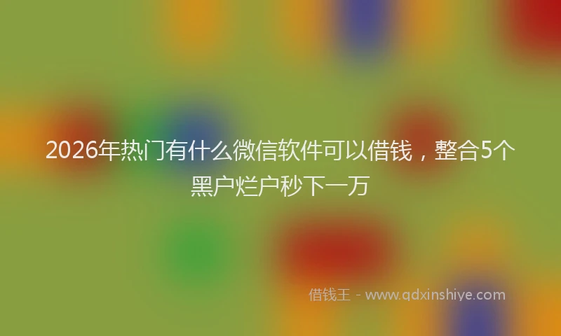 2026年热门有什么微信软件可以借钱，整合5个黑户烂户秒下一万