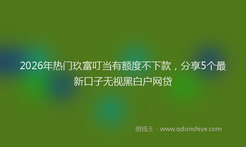 2026年热门玖富叮当有额度不下款，分享5个最新口子无视黑白户网贷