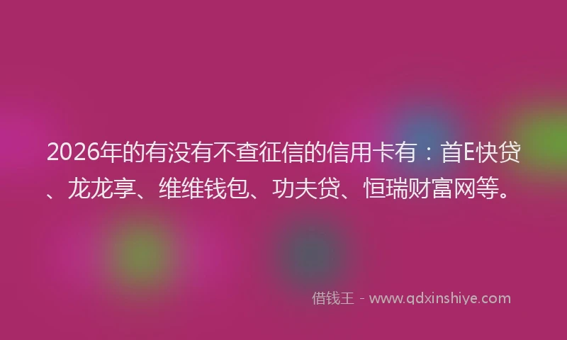 2026年的有没有不查征信的信用卡有：首E快贷、龙龙享、维维钱包、功夫贷、恒瑞财富网等。