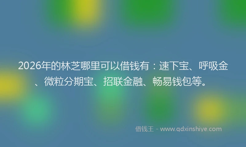 2026年的林芝哪里可以借钱有：速下宝、呼吸金、微粒分期宝、招联金融、畅易钱包等。