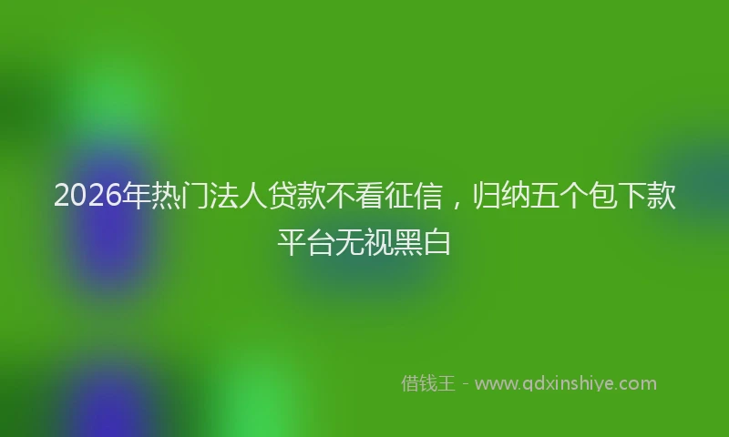 2026年热门法人贷款不看征信，归纳五个包下款平台无视黑白