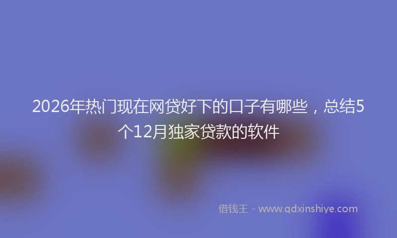2026年热门现在网贷好下的口子有哪些,总结5个12月独家贷款的软件