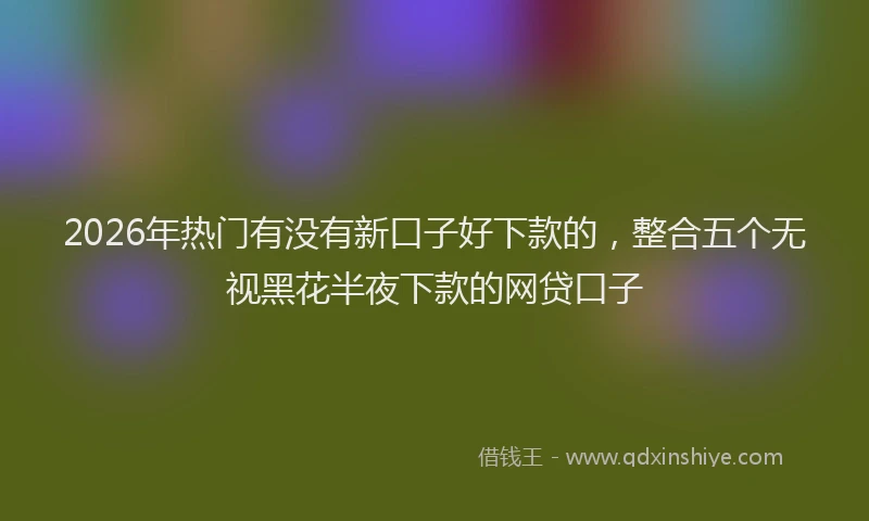 2026年热门有没有新口子好下款的，整合五个无视黑花半夜下款的网贷口子