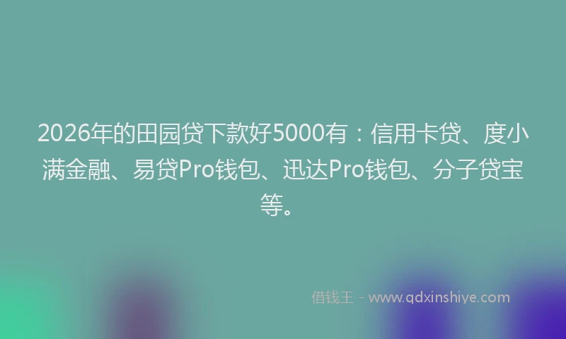 2026年的田园贷下款好5000有：信用卡贷、度小满金融、易贷Pro钱包、迅达Pro钱包、分子贷宝等。