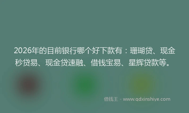 2026年的目前银行哪个好下款有：珊瑚贷、现金秒贷易、现金贷速融、借钱宝易、星辉贷款等。
