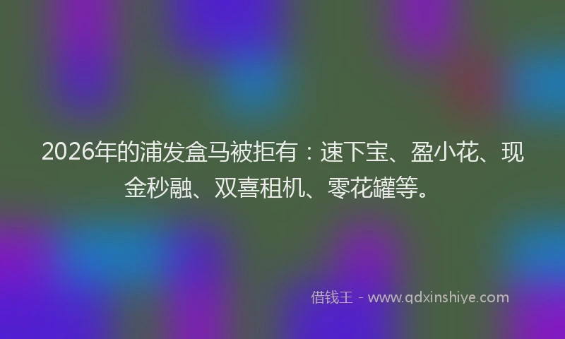 2026年的浦发盒马被拒有：速下宝、盈小花、现金秒融、双喜租机、零花罐等。