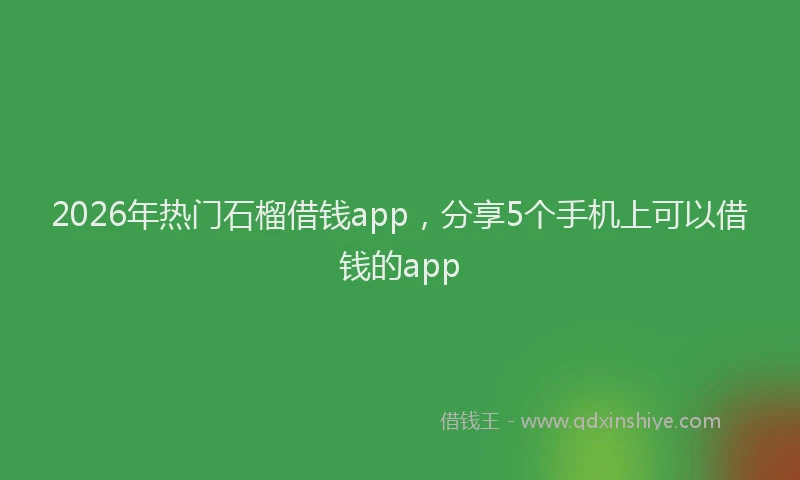 2026年热门石榴借钱app，分享5个手机上可以借钱的app