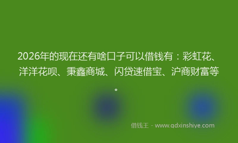 2026年的现在还有啥口子可以借钱有：彩虹花、洋洋花呗、秉鑫商城、闪贷速借宝、沪商财富等。