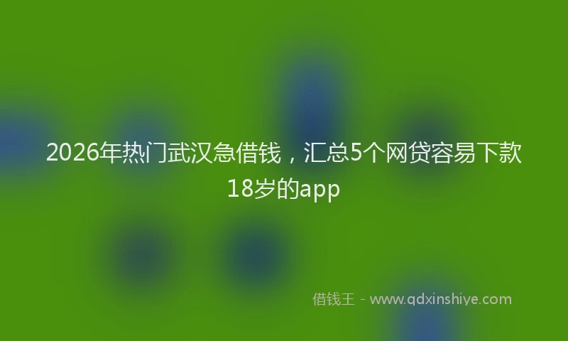 2026年热门武汉急借钱，汇总5个网贷容易下款18岁的app