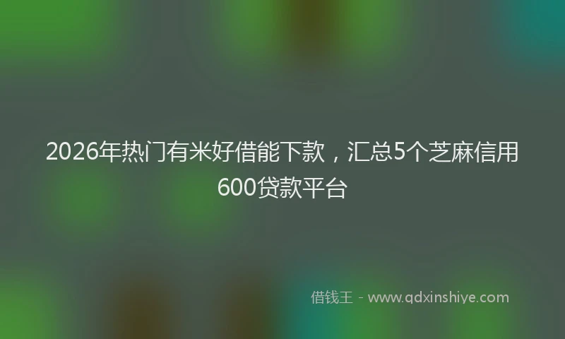 2026年热门有米好借能下款，汇总5个芝麻信用600贷款平台