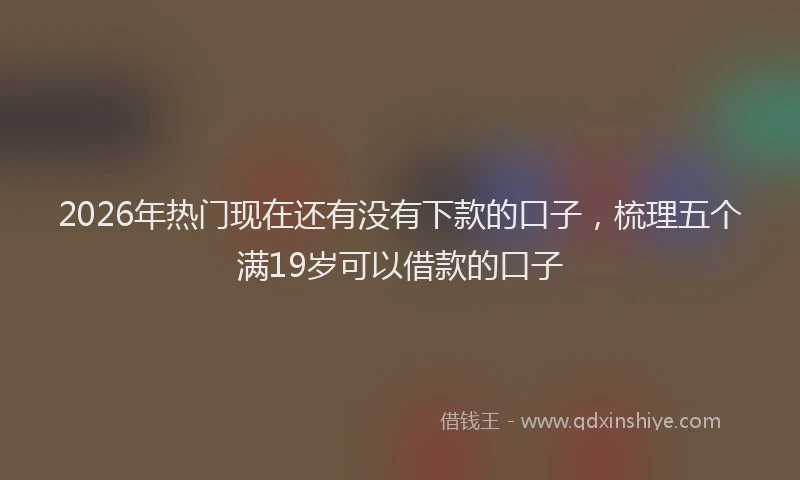 2026年热门现在还有没有下款的口子，梳理五个满19岁可以借款的口子