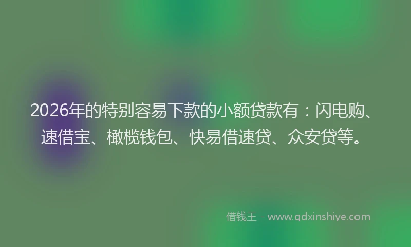 2026年的特别容易下款的小额贷款有：闪电购、速借宝、橄榄钱包、快易借速贷、众安贷等。