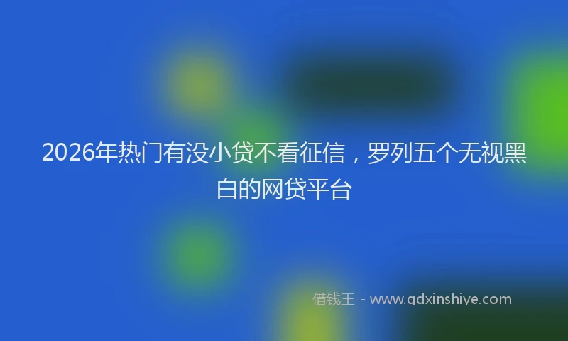 2026年热门有没小贷不看征信,罗列五个无视黑白的网贷平台