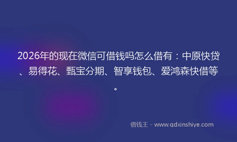 2026年的现在微信可借钱吗怎么借有：中原快贷、易得花、甄宝分期、智享钱包、爱鸿森快借等。