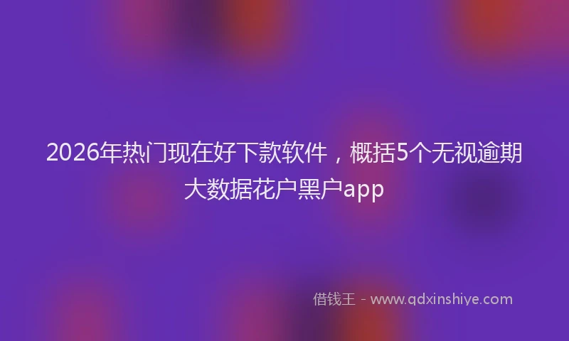 2026年热门现在好下款软件，概括5个无视逾期大数据花户黑户app