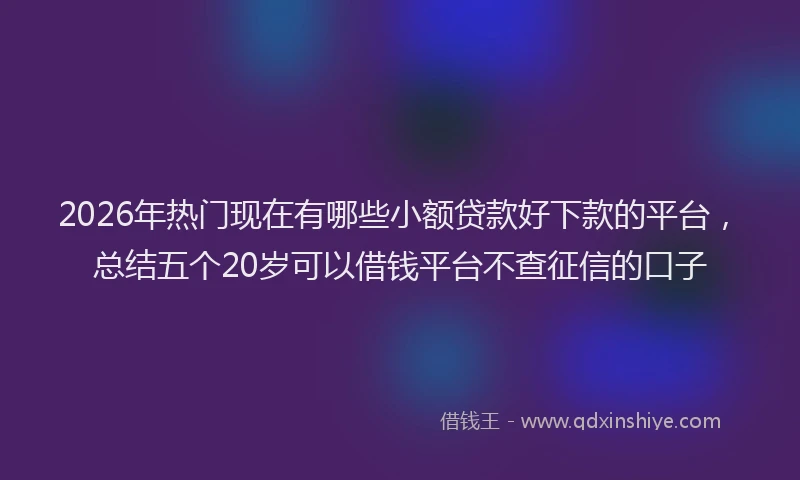 2026年热门现在有哪些小额贷款好下款的平台，总结五个20岁可以借钱平台不查征信的口子